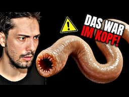 Neuer gefährlicher Parasit jetzt in Europa! Biologe klärt auf