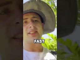Nearly DYING on Snake Island