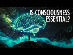 Is Consciousness a Field? | Robert Lawrence Kuhn