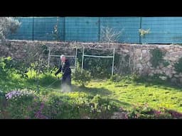 My Husband Start Cleaning The Garden/Spring Is Coming/March 2025/Vicinity