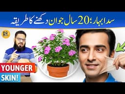 'Sadabahar' Se 20 Saal Jawan Dikhiye! Anti Aging Ka Raaz | Periwinkle | Dr. Ibrahim