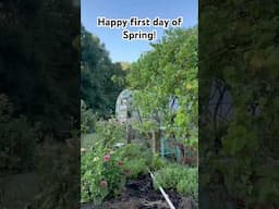 Happy first day of Spring! #homesteading #garden #gardening #spring