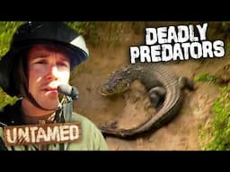 Real Life Hunt for Killer Crocodile In Outback Australia