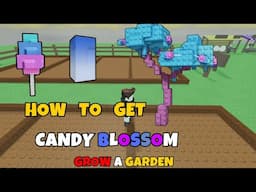 How To Get Candy Blossom In Roblox Grow A Garden!