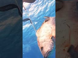 Fish GROWLING at me…so I SPEAR IT!😱