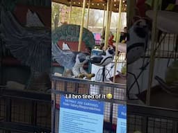 He done with the ride 🤣🤣