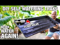 DIY Self Watering Pot Planter Trays