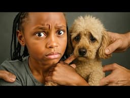 giving away our pet dog, the reason is shocking 💔