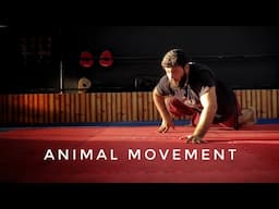 Strength & Mobility - Animal Movements