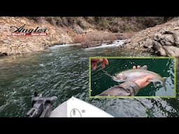 Casting For Bullards Bar Rainbow Trout