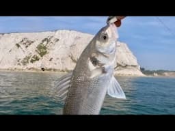 Sea Fishing by Huge Chalk Cliffs: What a Place to Fish!