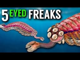 The Five-eyed Freaks of the Cambrian | Opabinia and relatives
