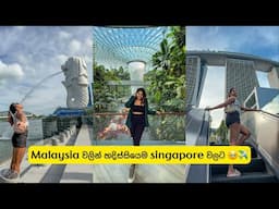 Singapore free කරන්න පුලුවන් දෙවල් 😍 | Stories of Lash Travel ✈️♥️