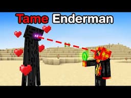 Breaking 100 Minecraft Laws in 24 Hours!