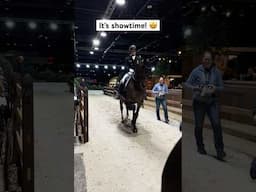 When it’s showtime for Isabell Werth and DSP Quantaz! 🤩 #isabellwerth #dressage #dressagehorse