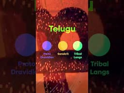 Did Kannada originate from Tamil? #kannada #tamil #kamalhaasan