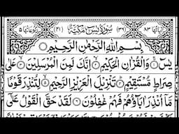 Surah Yaseen | Yasin | Episode 0036| Daily Quran Tilawat Surah Yasin Surah Rahman Full With Arabic