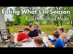 Feeding 11 with Simple Seasonal Homestead Meals ~ Rhubarb, Garlic Scapes & More