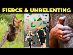 Build Relentless Finger Strength Like a Climber: Train Anywhere, Anytime (No Gym Needed)