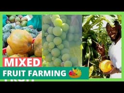 How to be in season every time with fruit farming - farmGuide