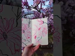 Draw Magnolias with me