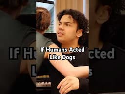 If humans acted like dogs... #actor #dog #acting #film