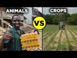 Animal Farming Vs Crop Farming: Which is More PROFITABLE?