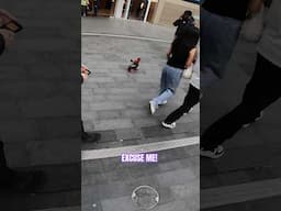 Coming through! 🛼 #fyp #omg #tricks #how #skating #science #public