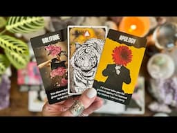 You are healing your chaser energy, and now the tables are turning! 🐅🐅 Timeless LOVE Reading 🐅🐅