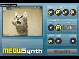 Introducing, the MeowSynth!!
