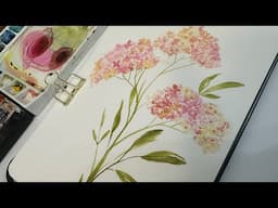Watercolor Journal Day 211(lots of tiny blooms)