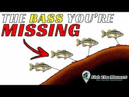 I Almost Missed This Mega School of Bass on My Fish Finder!