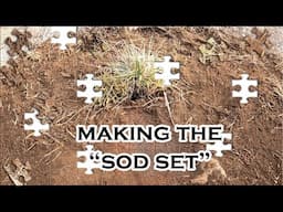 Making The "Sod Set", Coyote Trapping Strategy