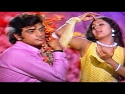 मैंने तुम संग HD - बिदाई - जितेन्द्र, लीना चन्दावरकर - लता मंगेशकर  - Old Is Gold