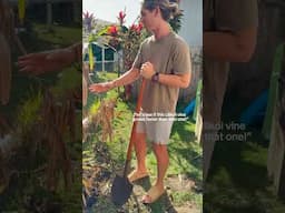 Planted My Placenta and This Happened 😳 #shorts