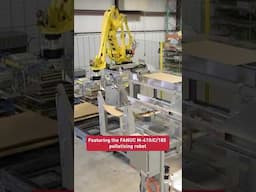 Innovative dunnage sortation system with #FANUC palletizing robots #shorts #automation #robotics
