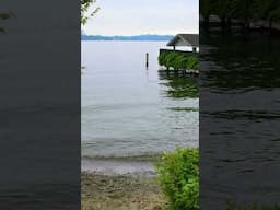 denny blaine park: views, vibes, and very naked #seattleparks #lakewashington #dennyblaine