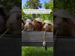 POV Me And My ECO-CONCIOUS Friends (Reusable Straws) #shorts