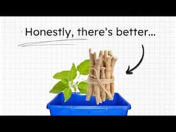 4 HERBS better than Ashwagandha