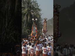 Machattu Mamangam: Kerala’s Vibrant Festival of Wooden Horses | Thrissur