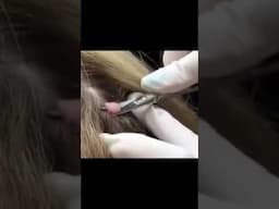 Can You Believe This Was on Her Head!?
