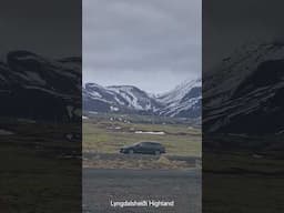 Icelandic Tundra