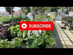 Welcome to Martin's Home & Garden's Channel!