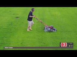 Tired of mowing your lawn? Here's how GreenPal can help