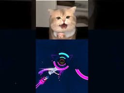 Funny Cat Coffin Dance Cover Tiles Hop Edm Rush #shorts