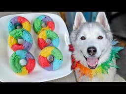 We Made Rainbow Donuts for Dogs! 🌈 DIY Dog Treats