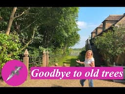 Goodbye to old trees