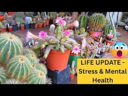 LIFE UPDATE - Stress & Mental Health