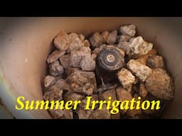 Summer Watering Schedule This Year + Q&A  | The Desert Farmer Podcast -  Episode 58