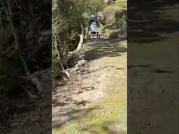 E-Bike Off-Roading: Can This Bike Handle the Bumps?